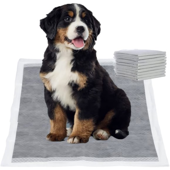 10 Unités Tailles G Tapis pour Chiots au Charbon Dites Adieu aux Tapis Malodorants pour Toujours