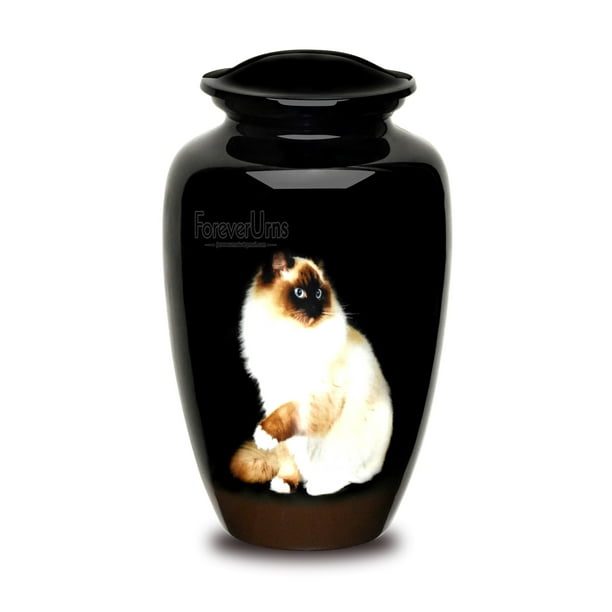 FOREVER URNS CHERISH THE MEMORIES Adult Cremation Urn for Ashes Sitting White cat Urn (Black