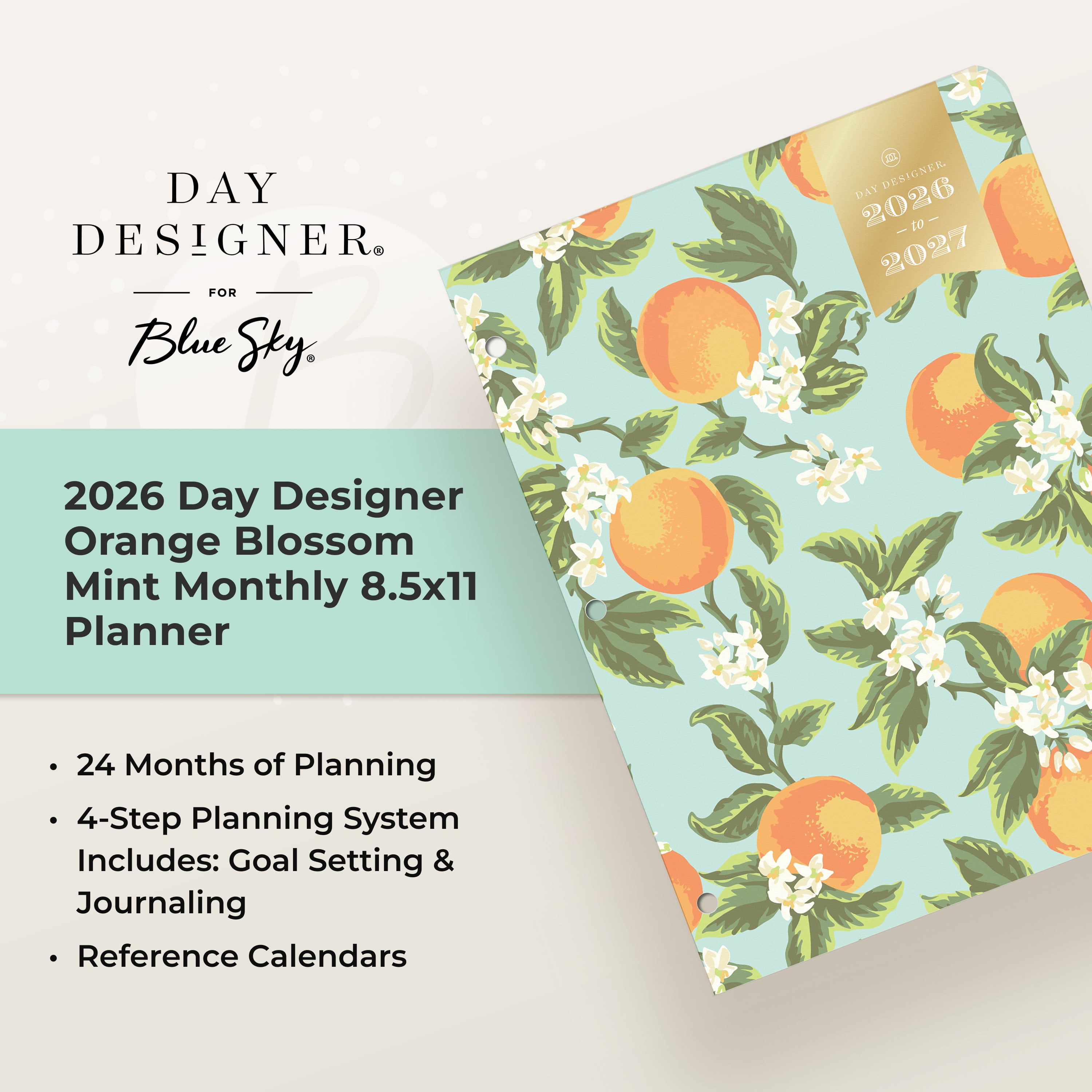 Blue Sky Day Designer 24 Month 2026 Monthly Planner Calendar