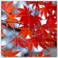 thumbnail image 1 of Picture-Tiles.com: Autumn Ceramic Tile Wall Mural WAL500016-44XL. 48"W x 48"H using (16) 12" x 12" Ceramic Tiles-Satin Finish, 1 of 3
