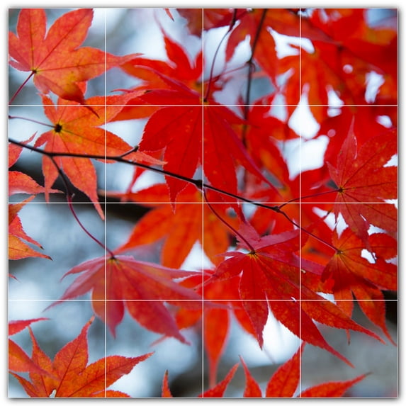 Picture-Tiles.com: Autumn Ceramic Tile Wall Mural WAL500016-44XL. 48"W x 48"H using (16) 12" x 12" Ceramic Tiles-Satin Finish