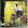 thumbnail image 4 of Ambesonne Animal Shower Curtain, Panda Sitting in Forest, 69"Wx84"L, Black Green, 4 of 5
