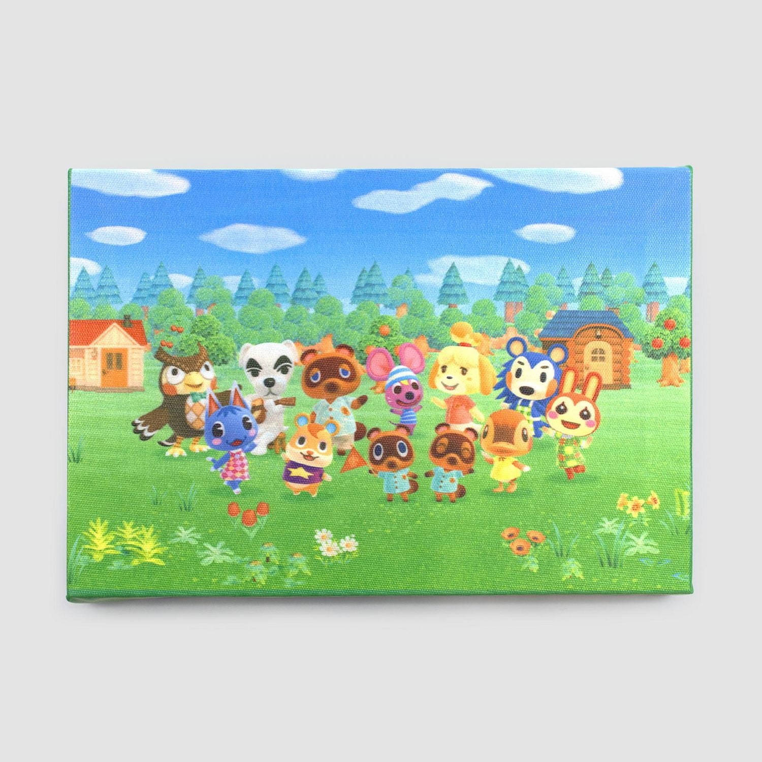 Animal Crossing Loot Box (FR)