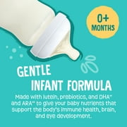 (4 pack) Earths Best Organic Gentle Powder Baby Formula with Iron DHA & ARA, 21 oz Canister