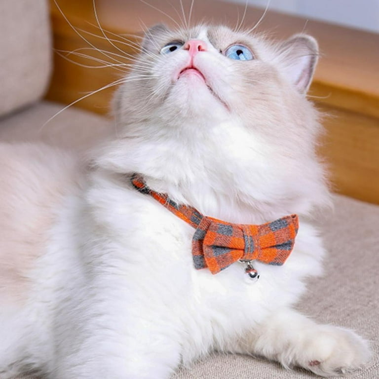 Cute cat sales collar with bell