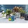 thumbnail image 5 of Miracle-Gro Water Soluble All Purpose Plant Food - Fertilizer For All Indoor or Outdoor Plants including Roses, Flowers, Vegetables, Houseplants, Trees, and Shrubs, 8 oz. (12-Pack), 5 of 5