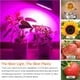 thumbnail image 3 of Bombilla de crecimiento, alto brillo y eficiencia energética, perfecta para el cuidado de plantas de interior durante todo el año, la relación de longitud de onda científica garantiza un crecimiento, 3 of 8