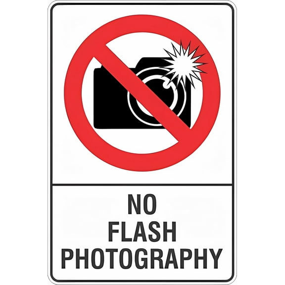 No Flash Photography Tin Sign - 8"x12", Vintage Metal Decor for Home, Farm, Bar, Coffee Shop, Club