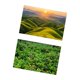 thumbnail image 4 of Fondo fotográfico de 57x87 cm con paisaje natural, doble cara. Estilo E, 4 of 9