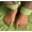 A2, variant on YTTAL (Buy 2 Get 1 Free)Neon Pink Toe Press On Nails - Short Square Fake Toenails, 24PCS Reusable Acrylic False Toenails with Jelly Glue, Glossy Finish Salon Quality Pedicure Set for Women Daily Wear