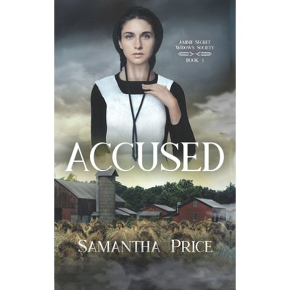 Pre-Owned Accused (Paperback) 1502847671 9781502847676