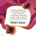 thumbnail image 2 of Haagen Dazs Rum Raisin Ice Cream, Gluten Free, Kosher, 14 oz, 2 of 13