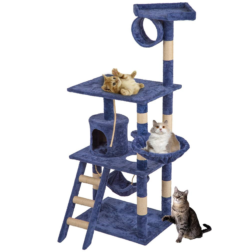 cat tree blue