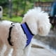 thumbnail image 5 of Chaleco De Pecho Arnés reflectante para perros y gatos chaleco de malla transpirable suministros para mascotas para entrenamiento Sywqhk Libre de BPA, 5 of 7