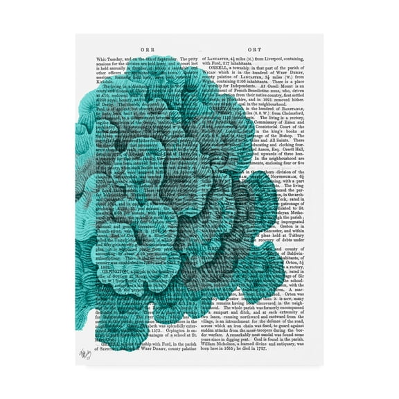 Trademark Fine Art 'Blue Corals And Sea Urchins Ii' Canvas Art by Fab Funky