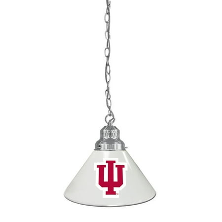 

Holland Bar Stool Co BL1 Sports Pendant Light