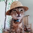 thumbnail image 6 of Pet Straw Hat for Small Dogs Vintage Farmer Style Miniature Sombrero with Adjustable Chin Strap for Photography and Outdoor Use Novelty Gift(1PC),S, 6 of 8