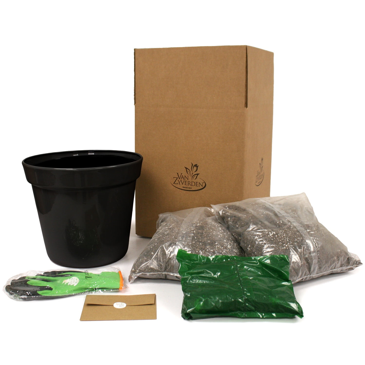Van Zyverden Goth Patio Gardening Canna Black Night Kit with Decorative Metal Planter 3 Bulbs Multicolor Full Sun