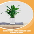 thumbnail image 3 of Miangastore 1 Ensemble Pot de Fleurs avec Plateau Plastique Transparent pour Usage Intérieur, 3 of 9