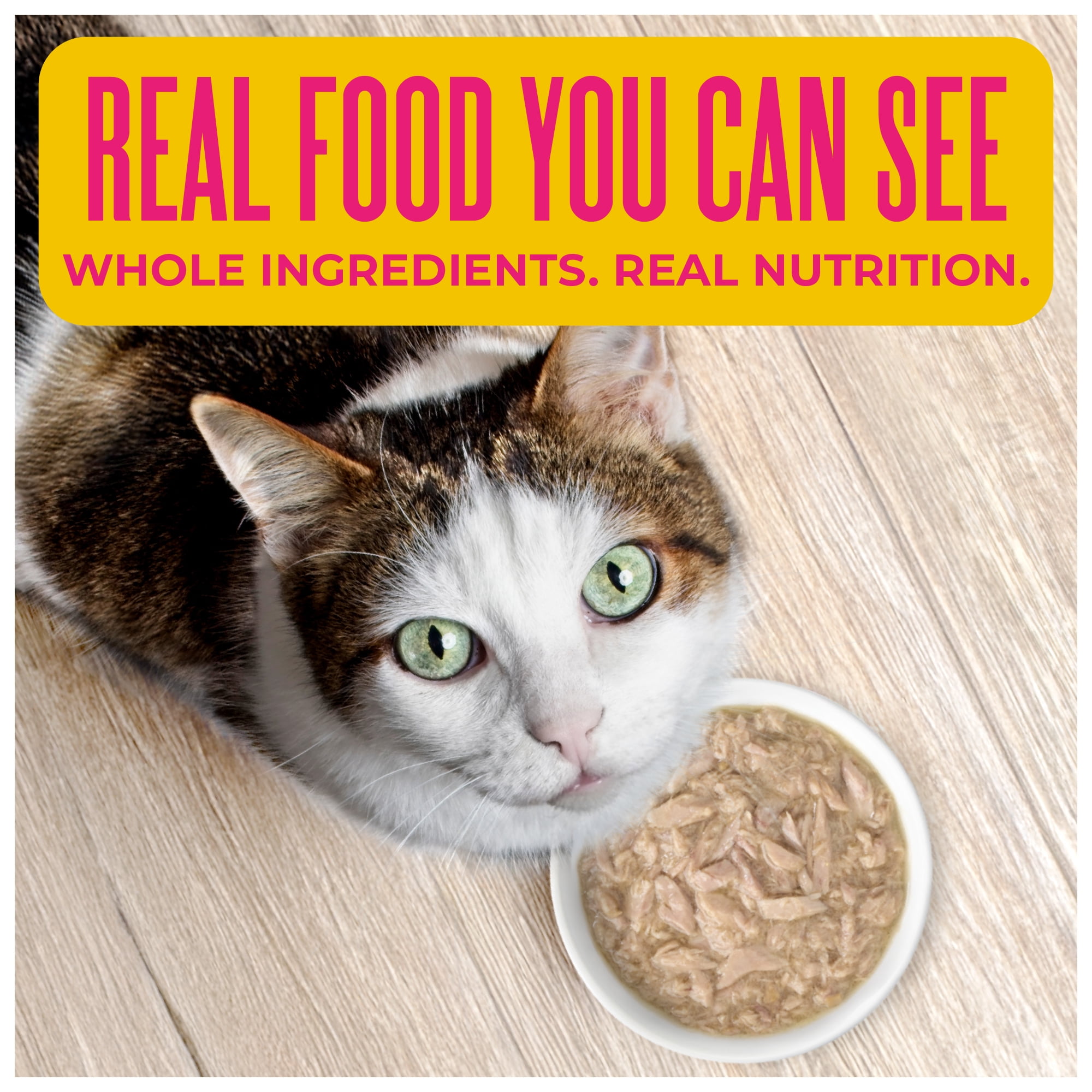 Tiki Cat Born Carnivore Wet Cat Food, Tuna Recipe in Tuna Broth, 2.4 oz. Can
