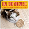 thumbnail image 2 of Tiki Cat Born Carnivore Wet Cat Food, Tuna Recipe in Tuna Broth, 2.4 oz. Can, 2 of 9