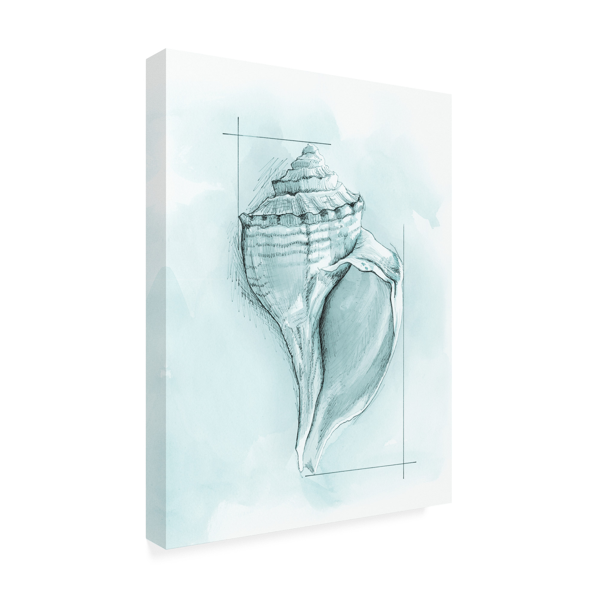 Trademark Fine Art 'Coastal Shell Schematic I' Canvas Art by Megan Meagher