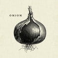 thumbnail image 2 of Gango Home Decor Contemporary Linen Vegetable BW Sketch Onion & Peas by Studio Mousseau (Ready to Hang); Two 12x12in Distressed Framed Prints, 2 of 5
