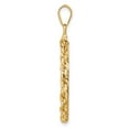 thumbnail image 3 of FJC Finejewelers 14 kt Yellow Gold Rope 22.0mm x 1.9mm Screw Top Coin Bezel Pendant, 3 of 6