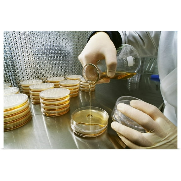 Great BIG Canvas | "A researcher in an agriculture research laboratory prepares samples" Art Print - 48x32