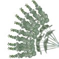 thumbnail image 4 of Hojas de plantas artificiales Ceremonia de banquete de boda Hoja de PVC falsa Decoración de plantas de oficina en casa, Verde 10 Piezas sidaley HA6615-01B, 4 of 6