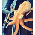 thumbnail image 5 of Peluche de pulpo de imitación realista, muñeco de animales marinos, cojín., 5 of 5