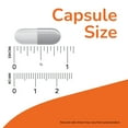 thumbnail image 4 of NOW Supplements, Glucosamine & Chondroitin with MSM, Joint Health, Mobility and Comfort*, 90 Veg Capsules, 4 of 7