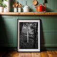 thumbnail image 6 of Graceful Descent - Oregon Photography Waterfall Black and White Nature Forest Landscape Scenic Wilderness Black Framed Wall Art Print 5 x 7 inches, 6 of 8