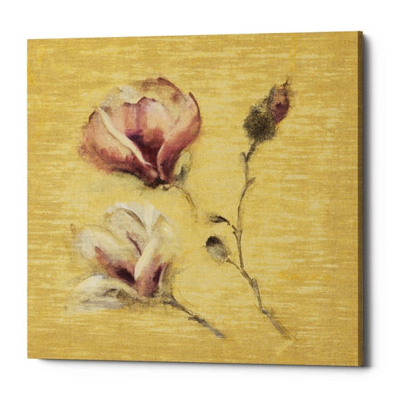 Epic Graffiti 'Magnolia Blossom on Gold' by Cheri Blum, Canvas Wall Art, 18"x18"