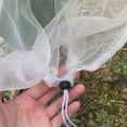 thumbnail image 3 of Plant Protection Bag Cover Netting Mesh for Fruit Vegetable Tree Barrier Strawberry Grapes Pest Control Anti-Bird Garden Tools, 3 of 6