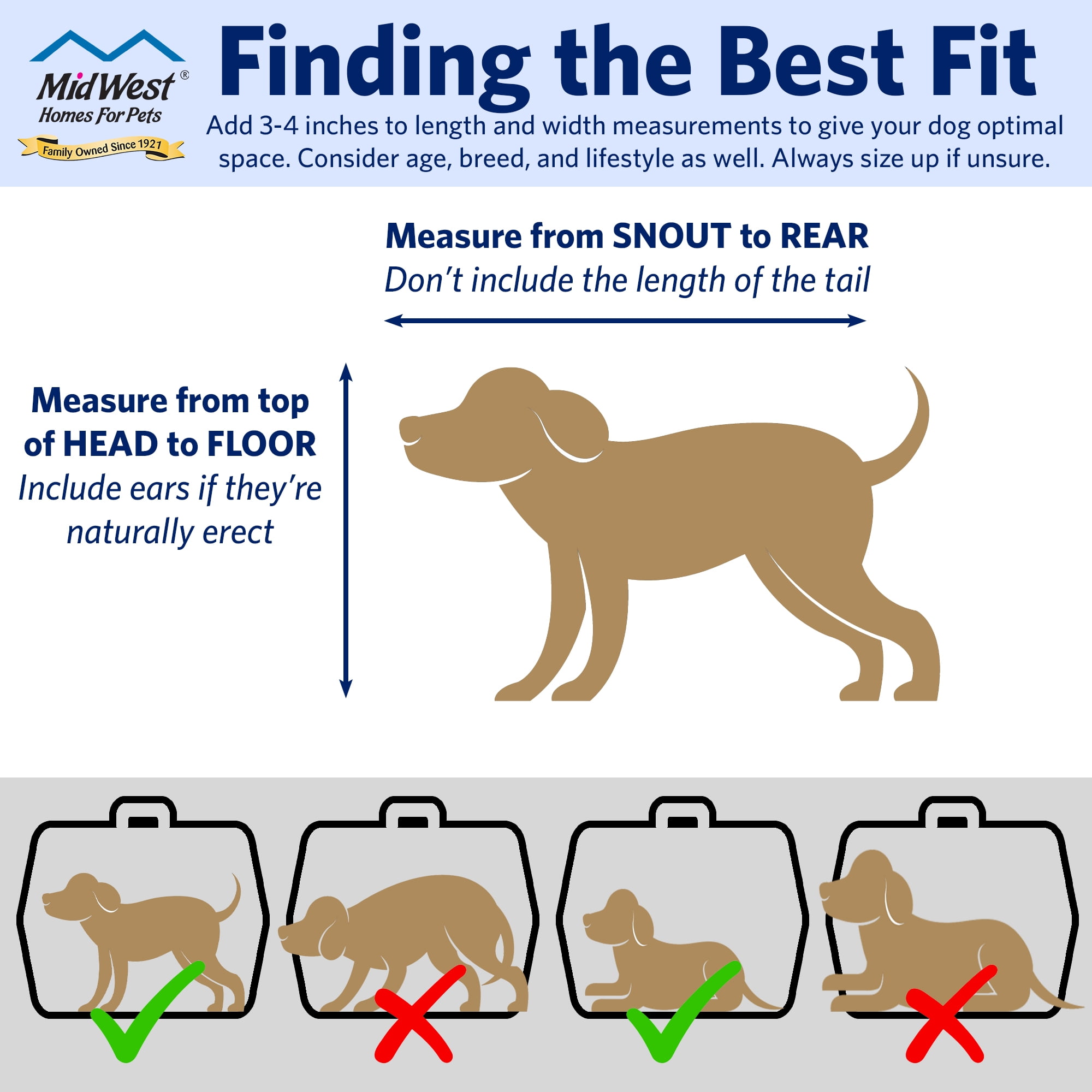 MidWest Homes for Pets 22 inch Spree Travel Pet Carrier for Dog or Cat with Steel Door, Blue