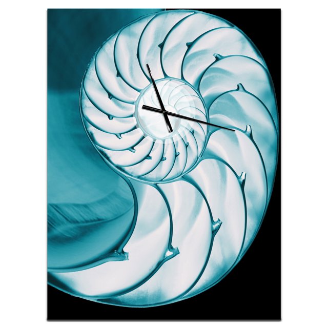 DesignArt Horloge Murale Grande en Forme de Coquille de Nautile