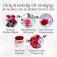 thumbnail image 6 of GLAMOUR BOUTIQUE Hexagon Single Forever Red Rose Box - Preserved Roses in a Box, Immortal Roses in a Box That Last A Year - Eternal Rose Preserved Flowers for Delivery Prime Mothers & Valentines Day, 6 of 8