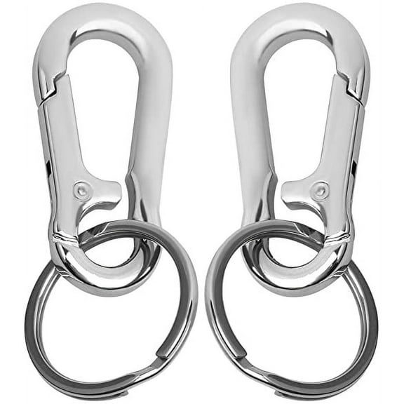 2 Pcs Metal Keyring, Carabiner Clip Keychains Lobster Clasps Swivel Clips Key Chain for Men Women
