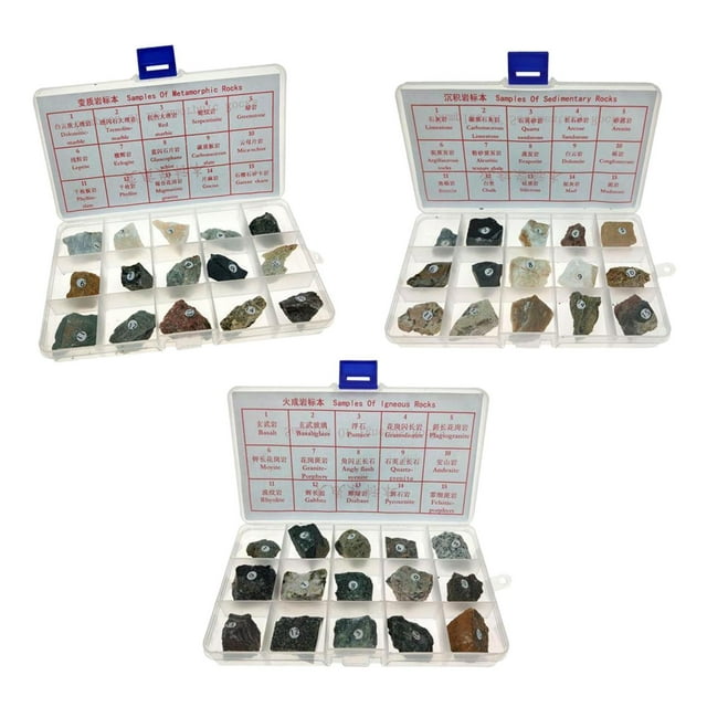 segolike 30 Pcs Spécimen de Roche Ignée Collection Éducative Aide Pédagogique