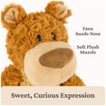 thumbnail image 3 of Peluche con forma de oso de peluche GUND Bexley Brown de 30 cm para más de 1 año, 3 of 9