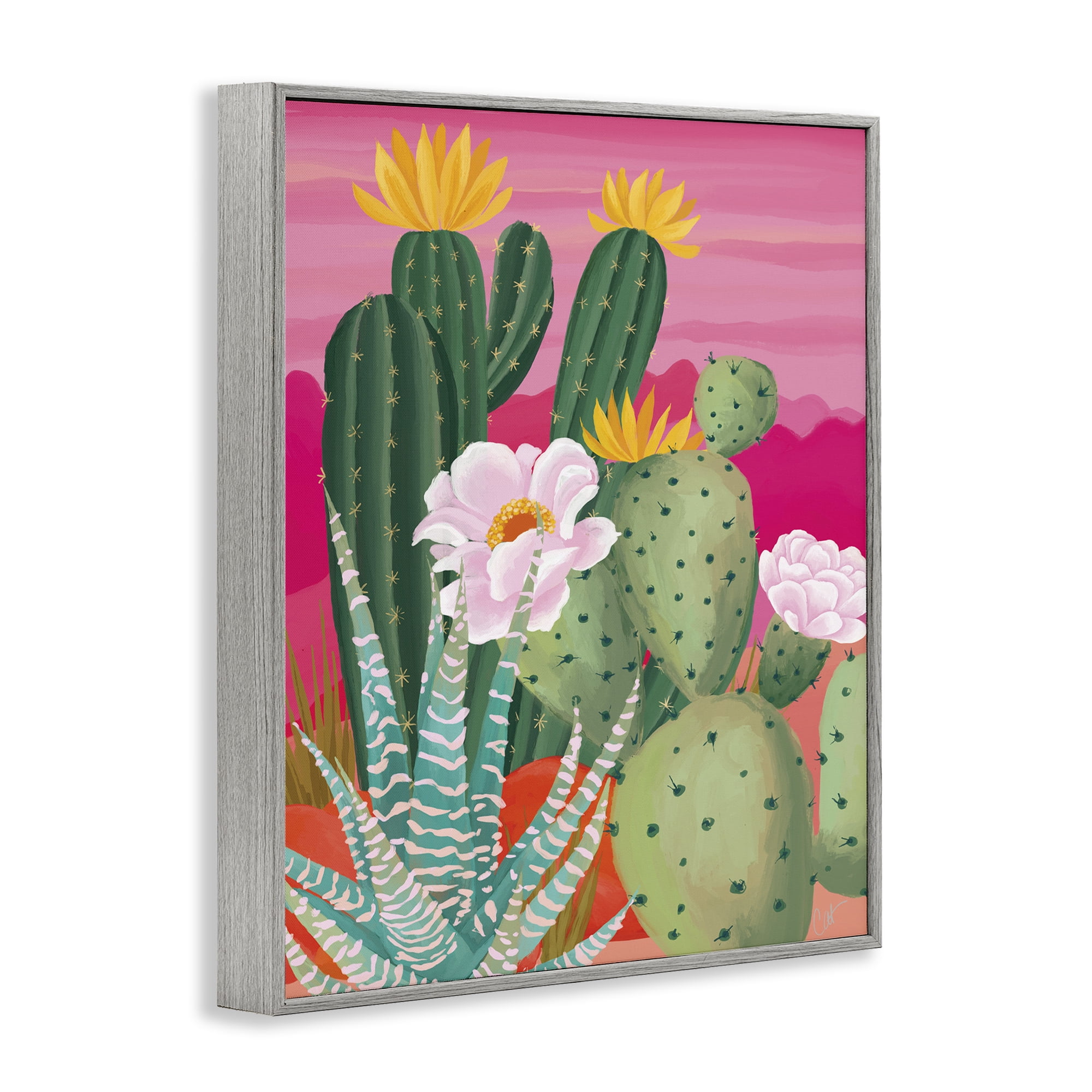 Stupell Industries Sunset Cactus Plants Gray Framed Giclee Art, design by Cat Thurman Designs