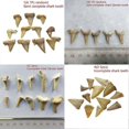 thumbnail image 1 of Natural Animal Tooth Shark Tooth Mineral Specimen Gift Decorative Pendant Toys, 1 of 5