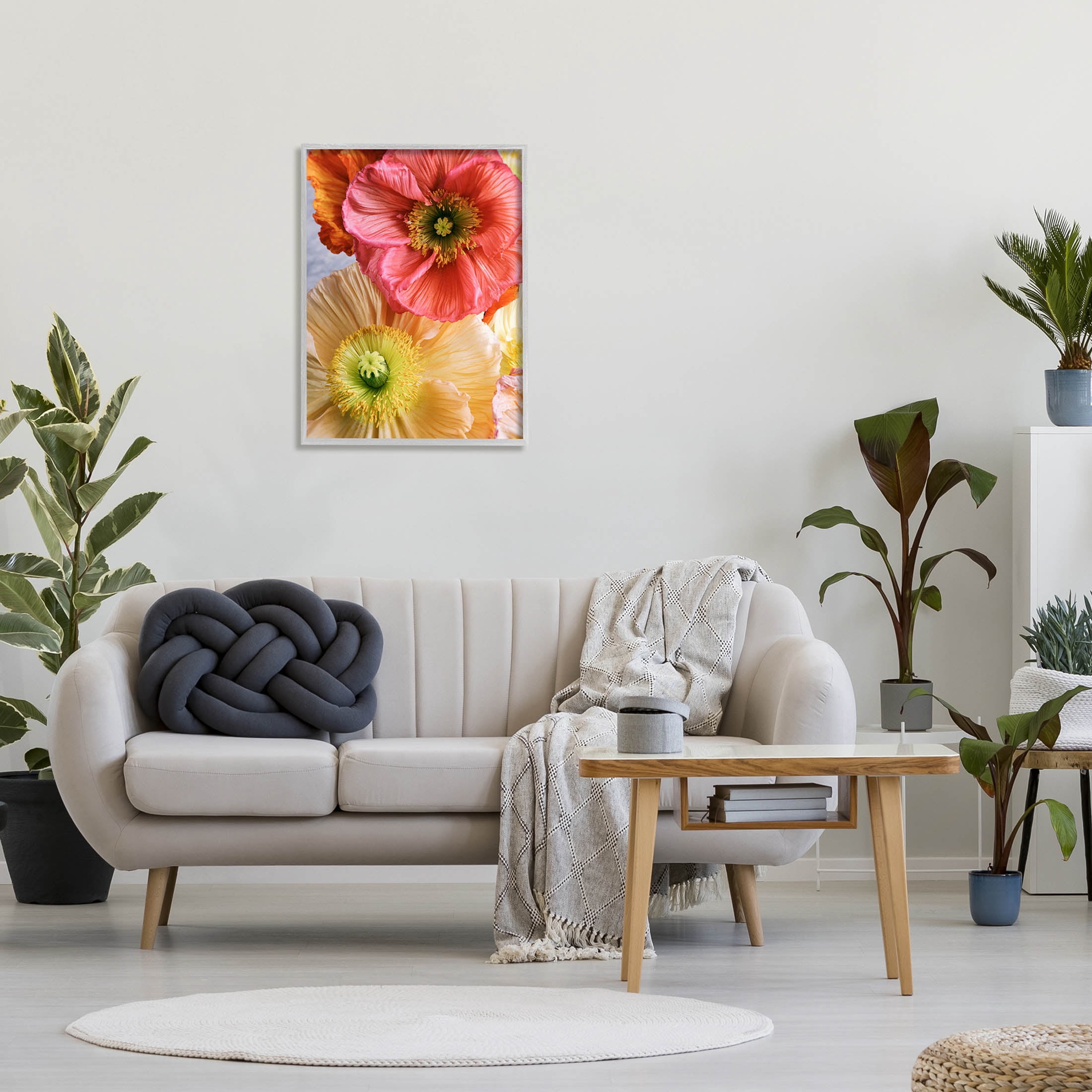 Detailed Poppy Flower Close Up Botanical & Floral Photograph Gray Framed Art Print Wall Art