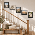 thumbnail image 6 of Scholartree 8 x 10 Wood Picture Frames Set of 5- Front Loading Basic Tabletop Picture Frame, Black, 6 of 6