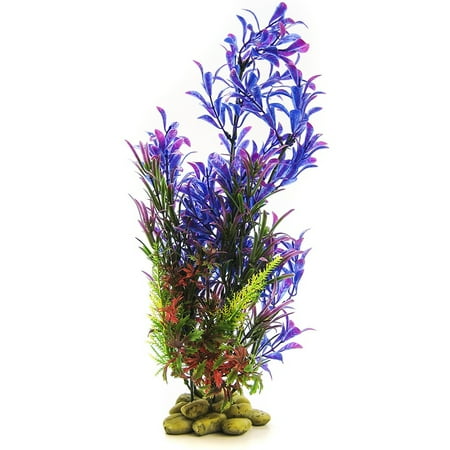 Aquatic Creations Hygrophilia Aquarium Plant - Blue/Purple 15\
