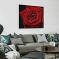 thumbnail image 2 of Chilfamy Red Rose Romantic Macro Photography Canvas Print Art 16x16in, 2 of 6
