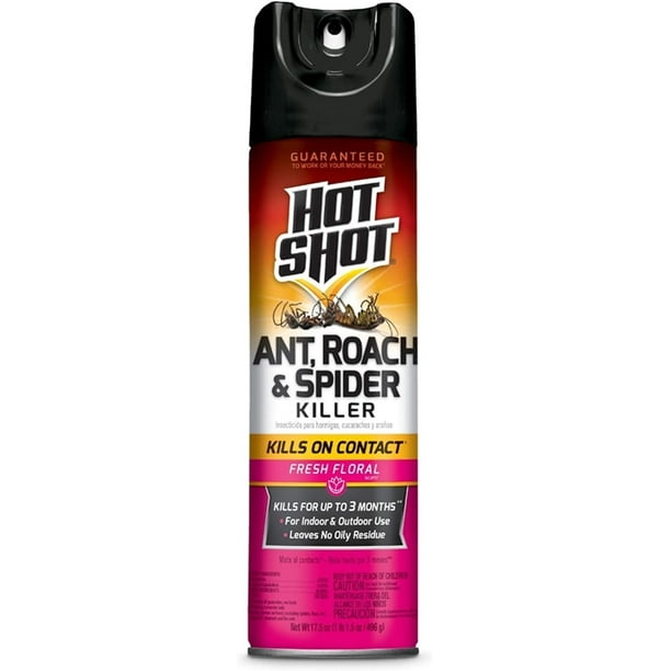 Hot Shot Ant, Roach & Spider Killer, Kills Insects Indoors and Outdoors