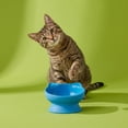 thumbnail image 2 of Vibrant Life 0.8-Cup Plastic Elevated Cat Ear Bowl, Blue, 2 of 8