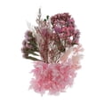 thumbnail image 4 of Adornos para marcapáginas con hojas prensadas y flores secas mixtas 1-5CM G, 4 of 7